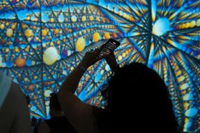 Budapest : billet d'entrée coupe-file pour le Musée d'art lumineux