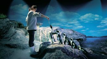 Bangkok : billet d'entrée au SEA LIFE Bangkok Ocean World