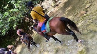 La cascade du Limón : explorez le Salto del Limón et découvrez ses rivières et ses montagnes.