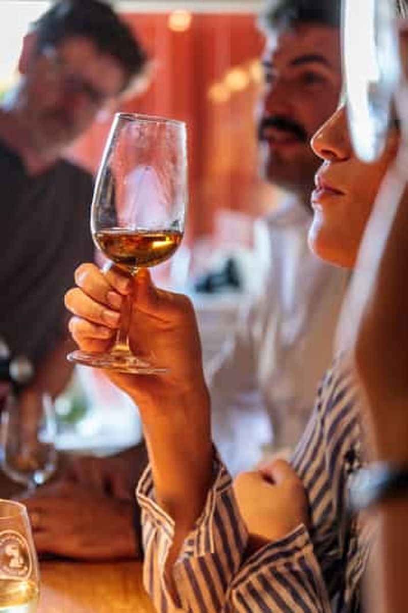 Lisbonne : visite du vignoble de Carcavelos et dégustation de vins