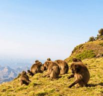 Éthiopie en 8 jours par avion : chutes du Nil Bleu, Simien et Lalibela