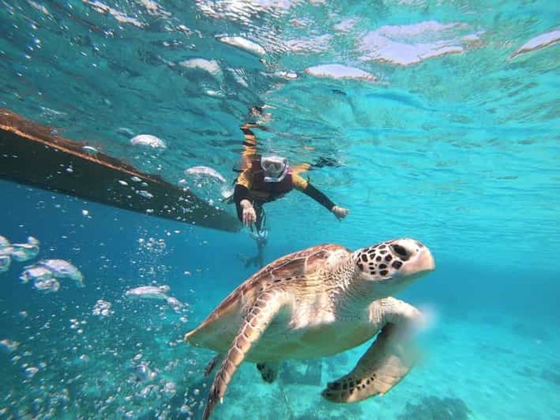 Billet Îles Gili : Excursion privée ou partagée en bateau de plongée avec tuba
