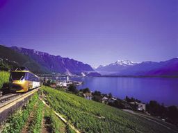 Au départ de Lausanne : Tour de la Gruyère avec train, chocolat et fromage