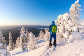 Rovaniemi : Aventure de randonnée et de raquettes en Laponie