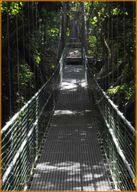 Île de Roatan : Visite d'une demi-journée à pied, en tyrolienne et sur la plage