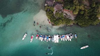 Excursion en bateau dans la baie de Robert avec liqueurs et repas local
