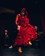Alicante : spectacle de flamenco traditionnel au Marbeuf Palace