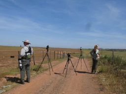 Excursion ornithologique à Mértola et dans la région de Castro Verde