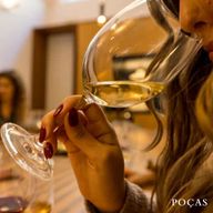 Vila Nova de Gaia : visite de vignobles avec 2 DOC Douro et 1 Porto
