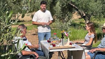 Dégustation d'huile d'olive biologique avec pain et cadeau, et visite de l'oliveraie familiale