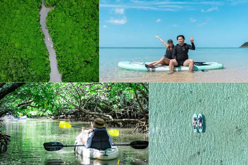 Ishigaki : excursion en SUP/kayak dans les mangroves et en mer avec photos et vidéos prises avec un appareil photo reflex et un drone