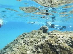 Malte : excursion de plongée avec tuba