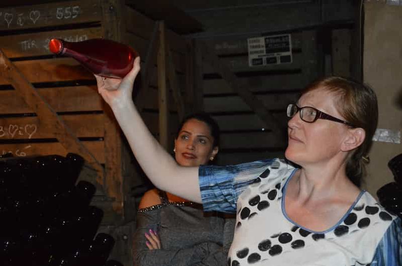 Au départ de Paris : visite des vignobles de Champagne avec dégustations et sommelier