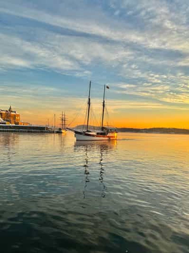Oslo : Croisière touristique dans le fjord d'Oslo à bord d'un voilier