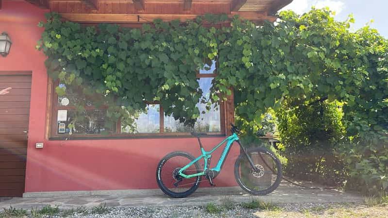 Wine and Food Tour : de la Reggia di Venaria Reale au Val Susa/Sangone