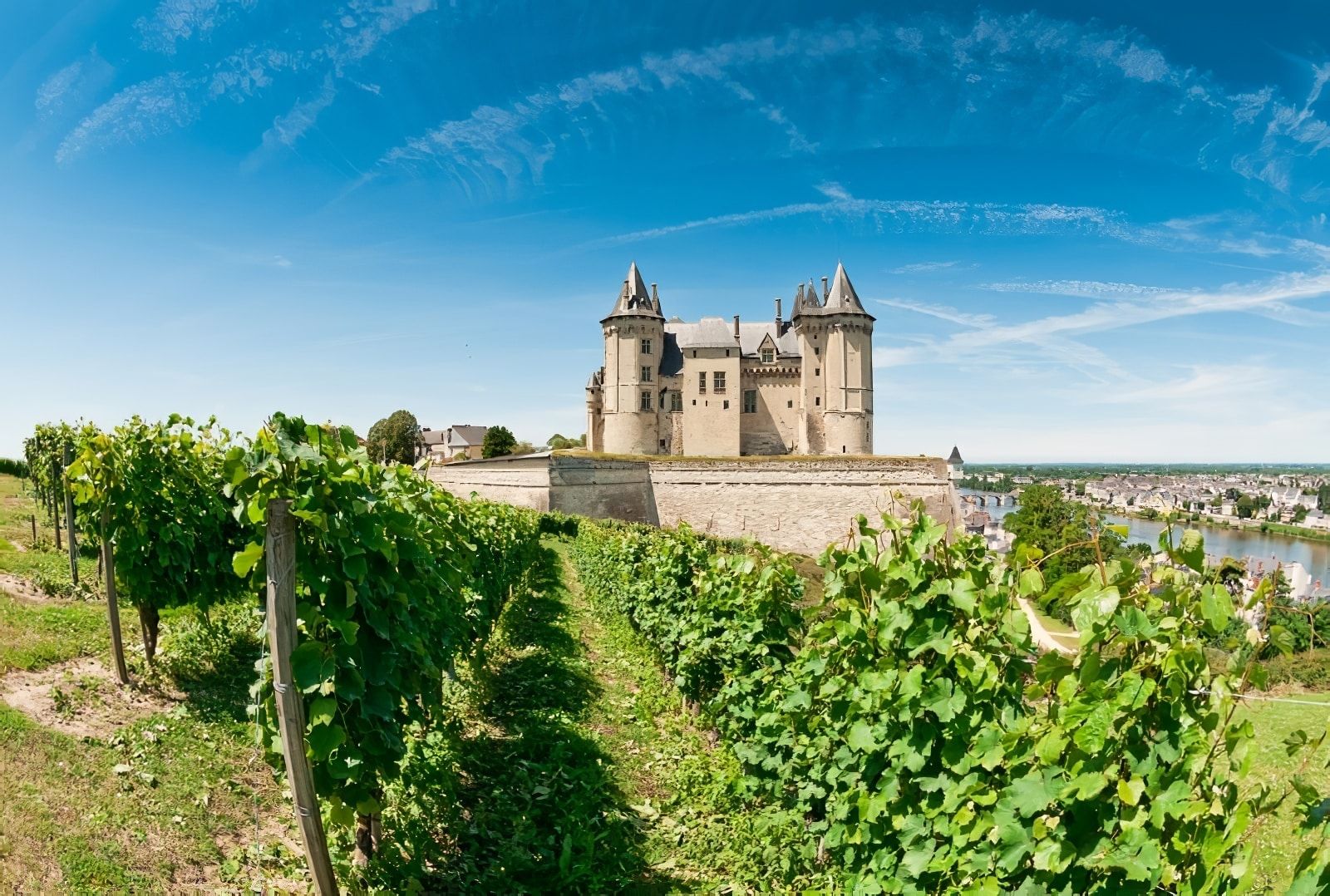 Château de Saumur