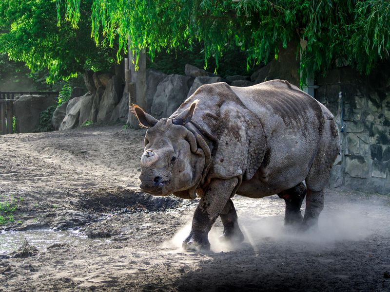 Zoo de Varsovie