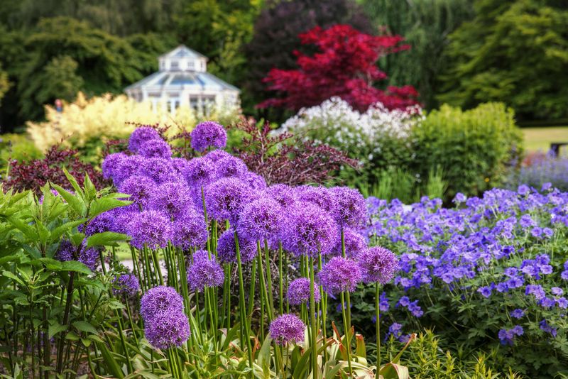 Jardin botanique de Göteborg