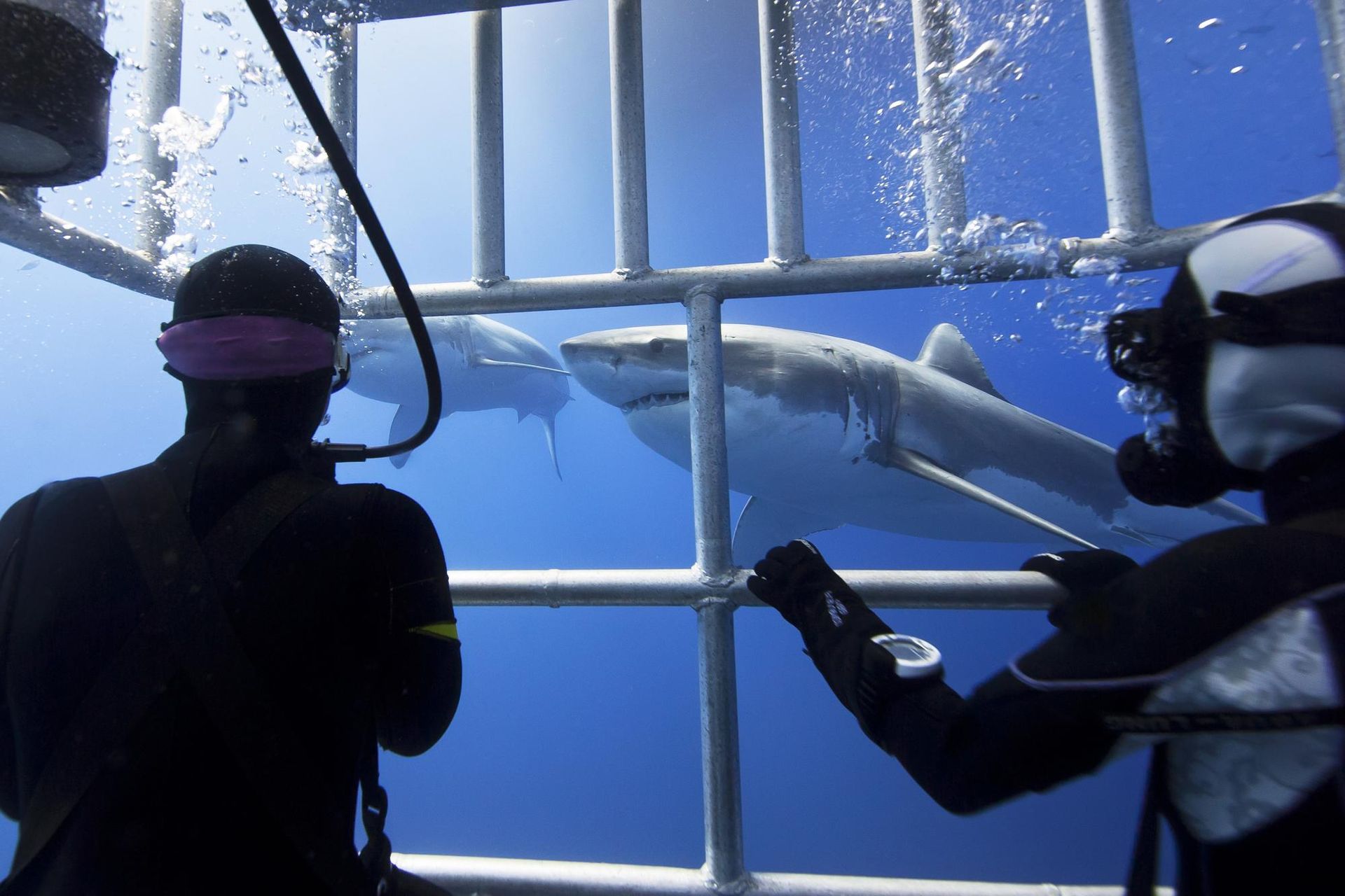 Le Cap - Attraction la plus populaire