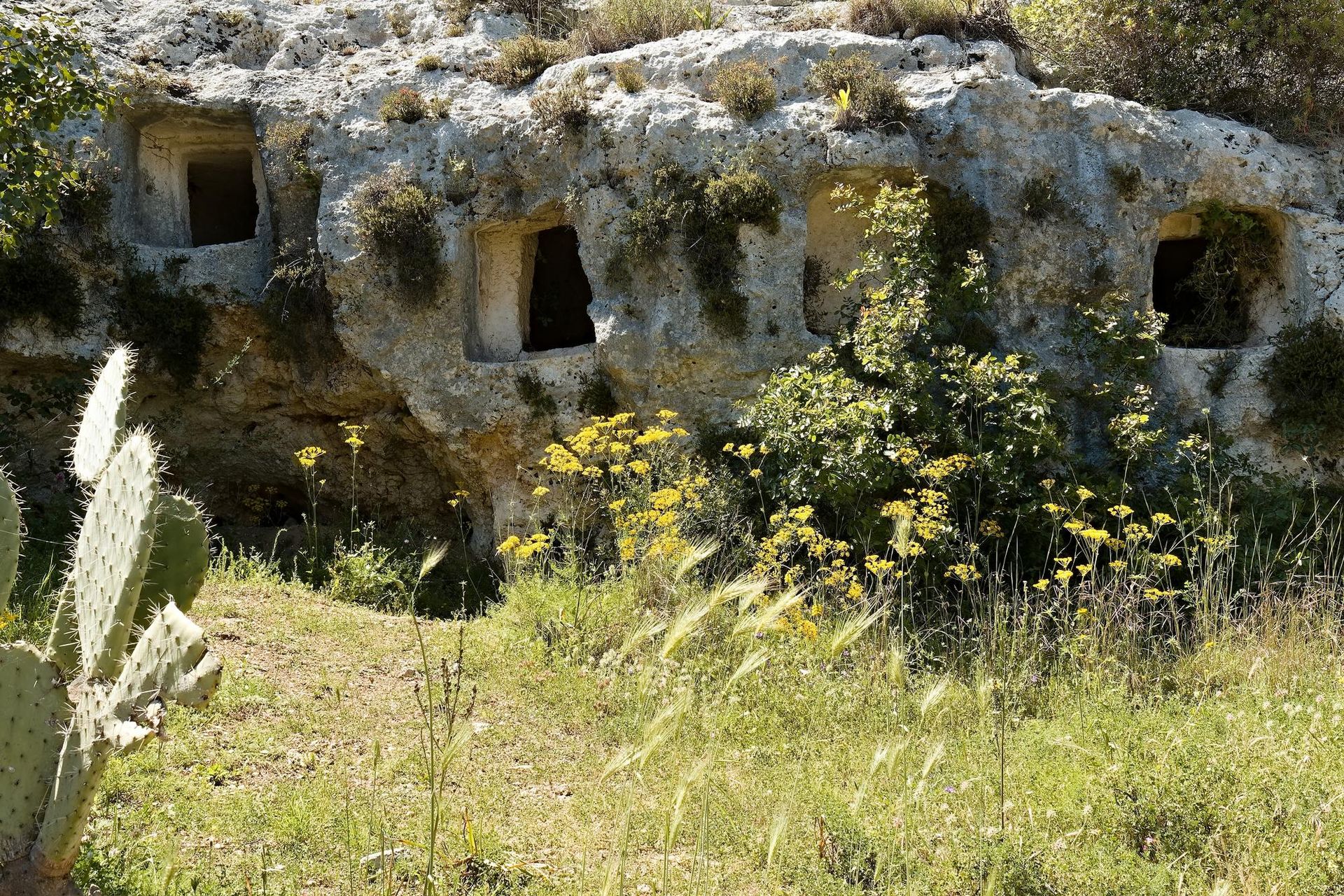 Syracuse - Attraction la plus populaire