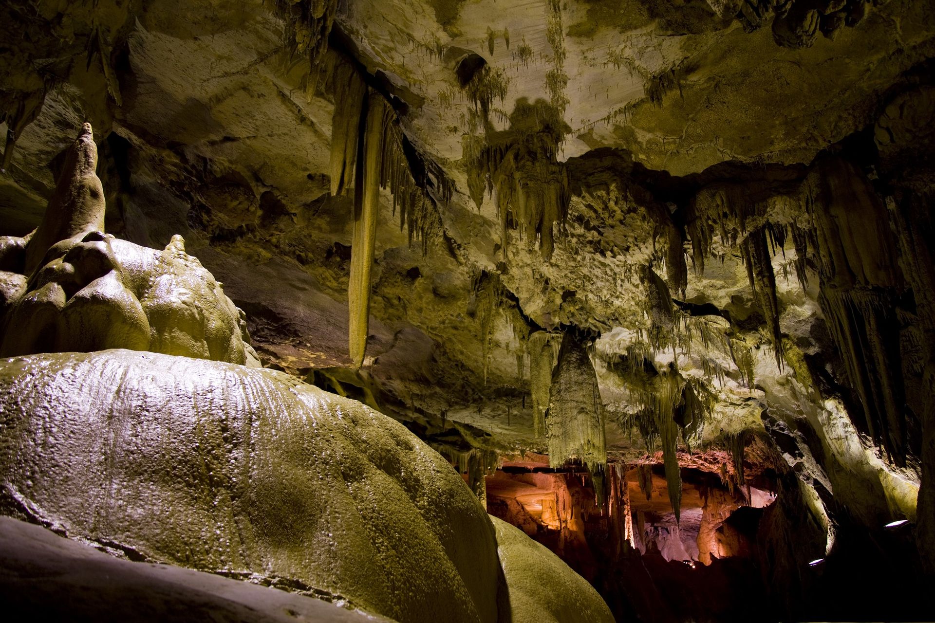 Occitanie - Attraction la plus populaire