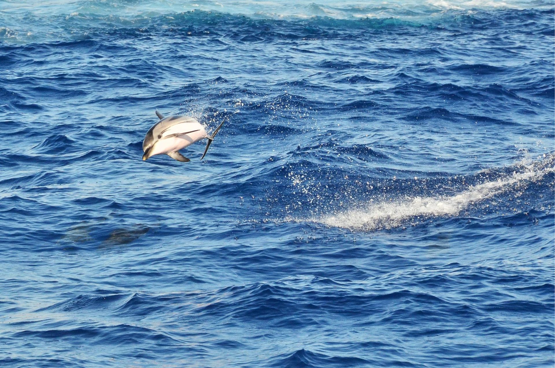 Sicile - Attraction la plus populaire