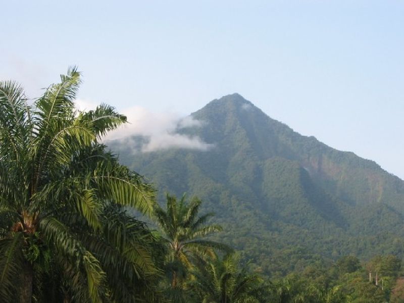 Mont Cameroun