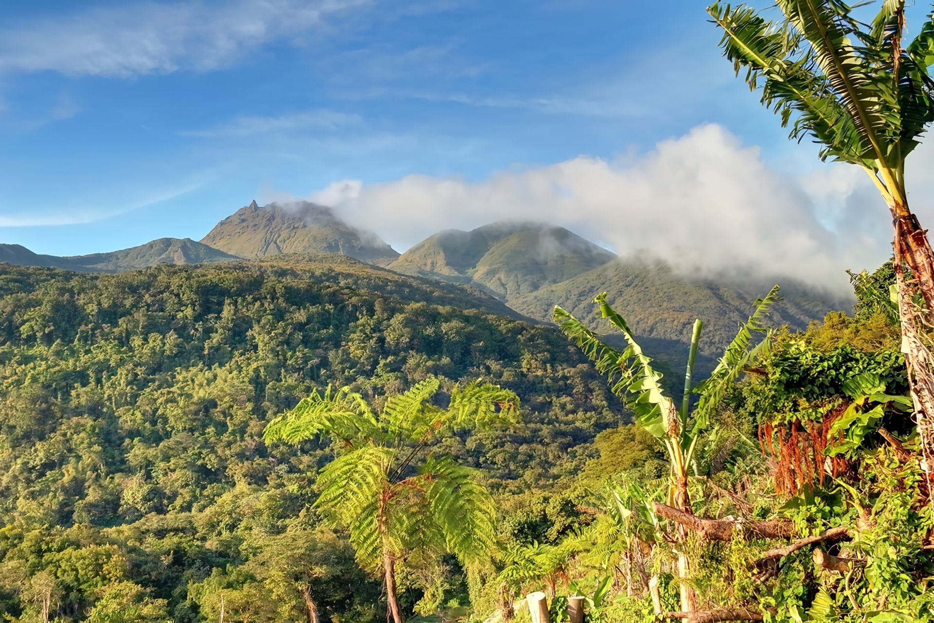 Guadeloupe - Attraction la plus populaire