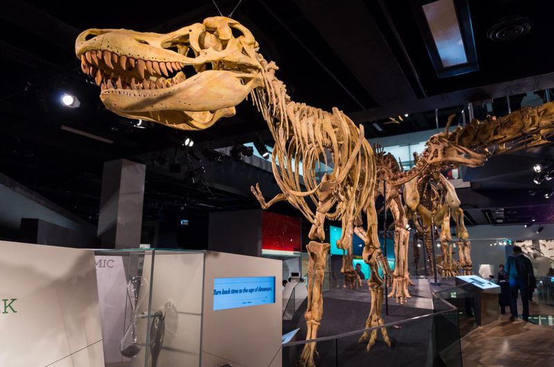 Melbourne Museum