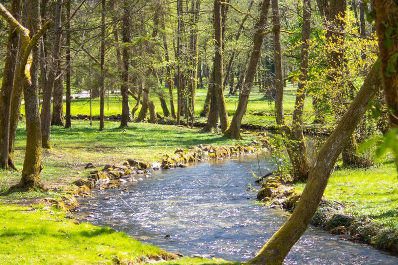 Vrelo Bosne