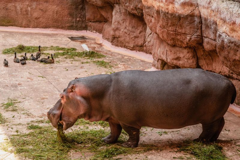 Zoo de Wrocław