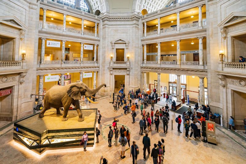 Musée national d’histoire naturelle Smithsonian