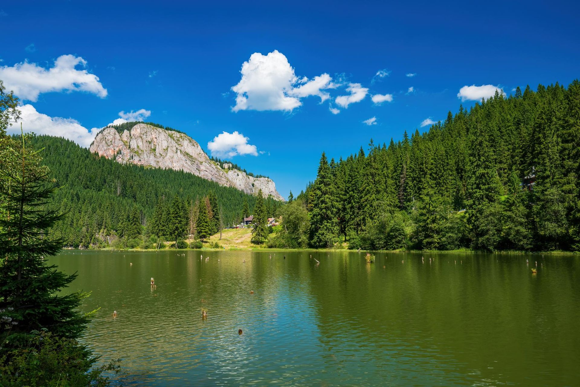 Roumanie - Attraction la plus populaire