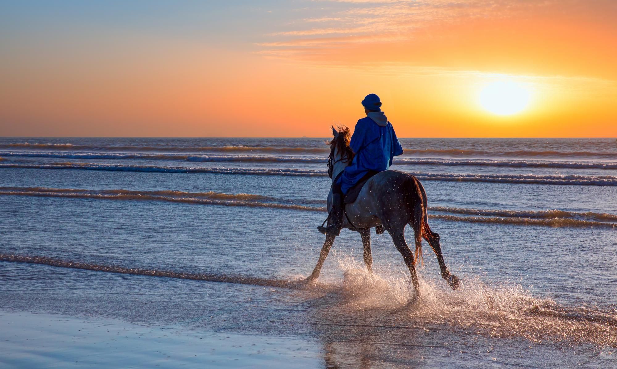 Balade à cheval sur la côte d’Agadir