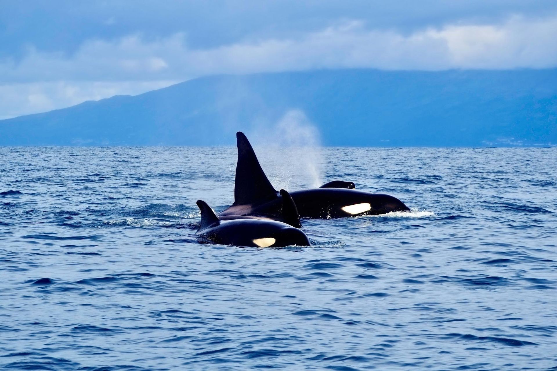 Açores - Attraction la plus populaire