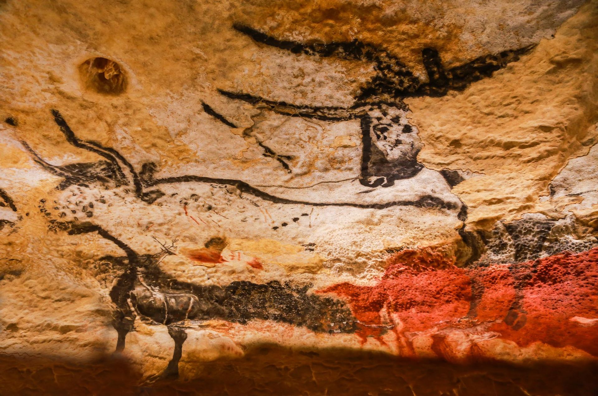 Nouvelle-Aquitaine - Attraction la plus populaire