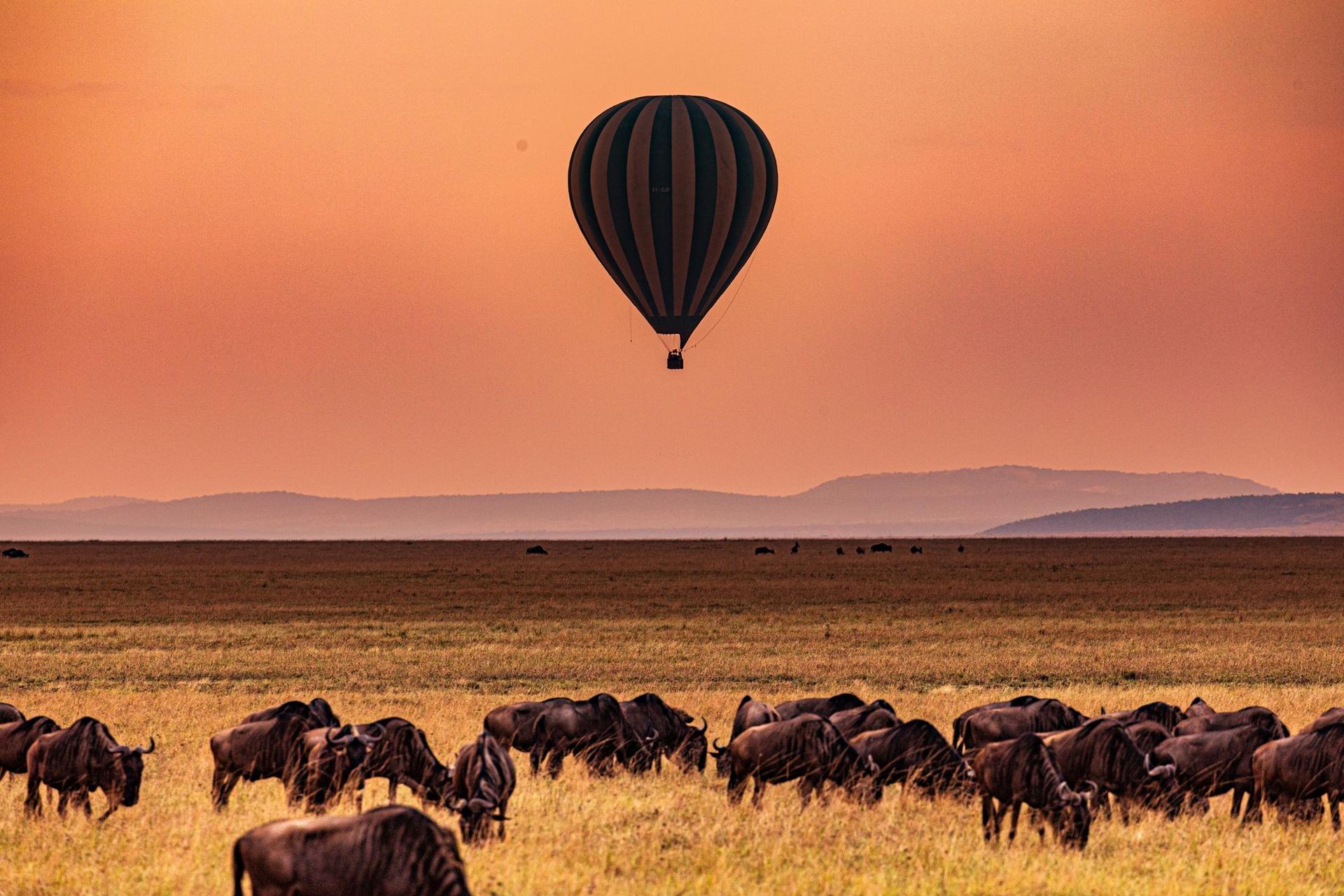 Tanzanie - Attraction la plus populaire