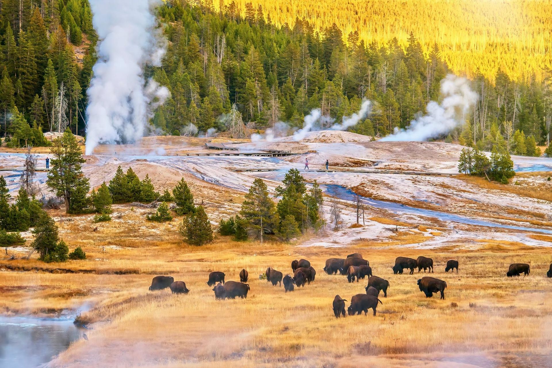États-Unis d'Amérique - Attraction la plus populaire