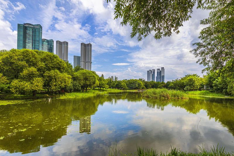 Seoul Forest