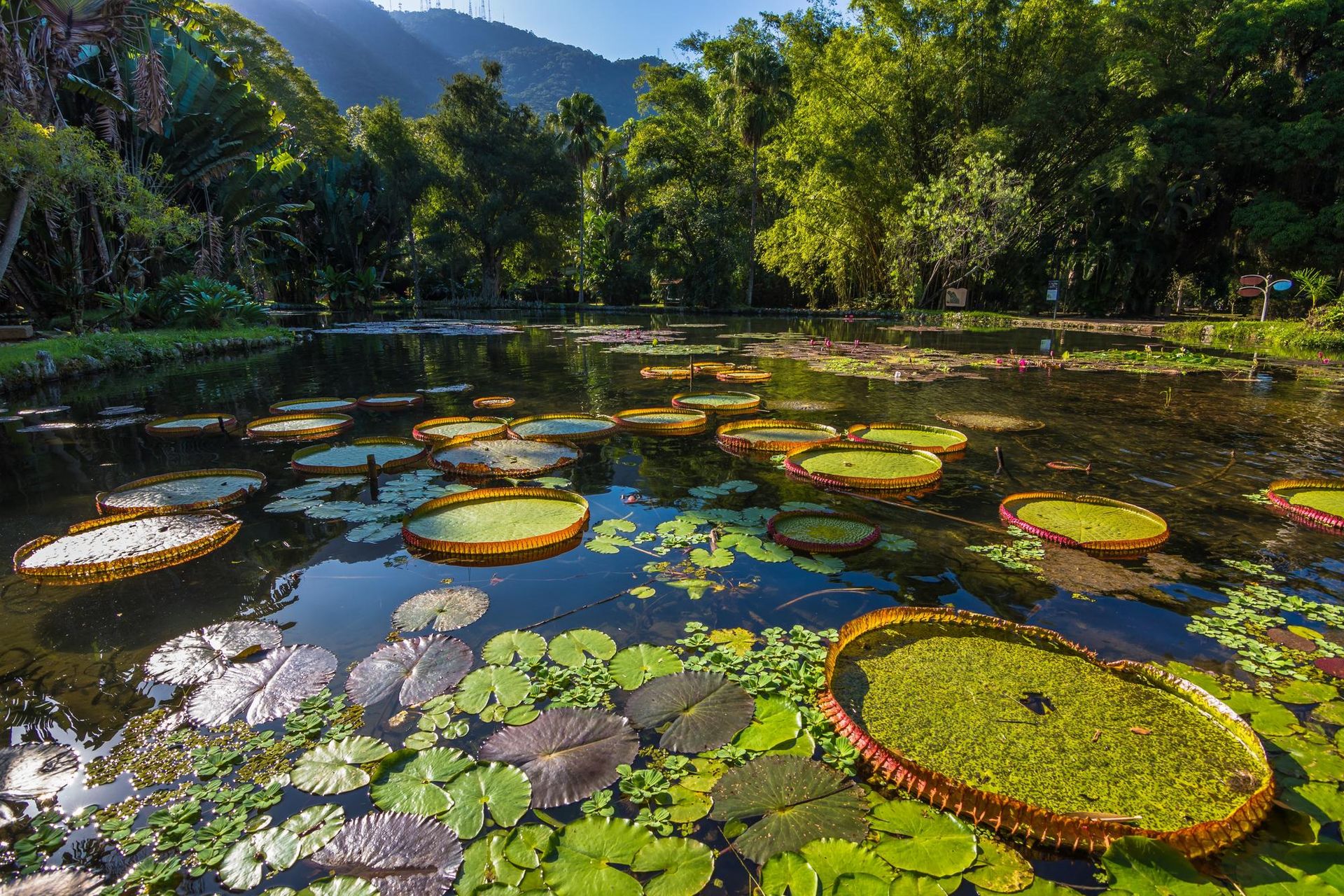 Rio de Janeiro - Attraction la plus populaire