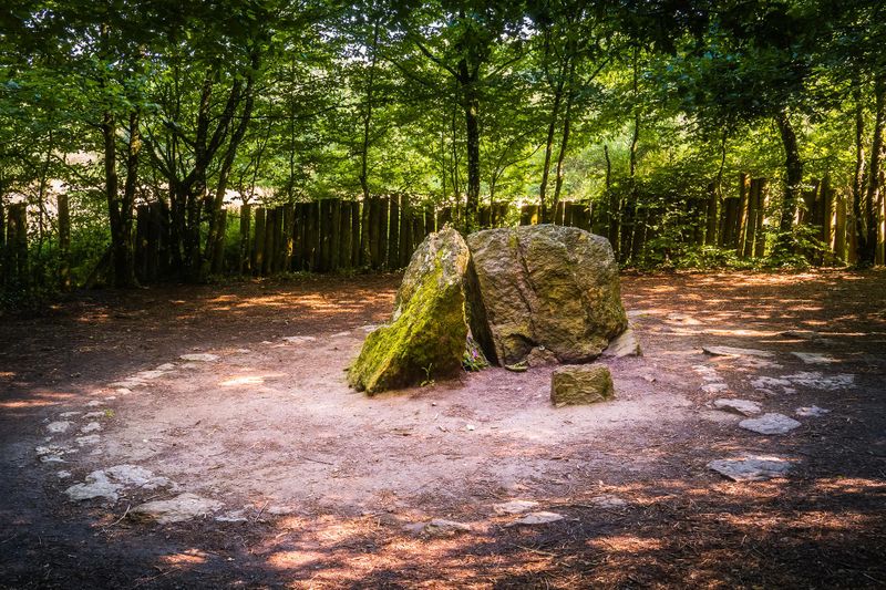 Forêt de Brocéliande