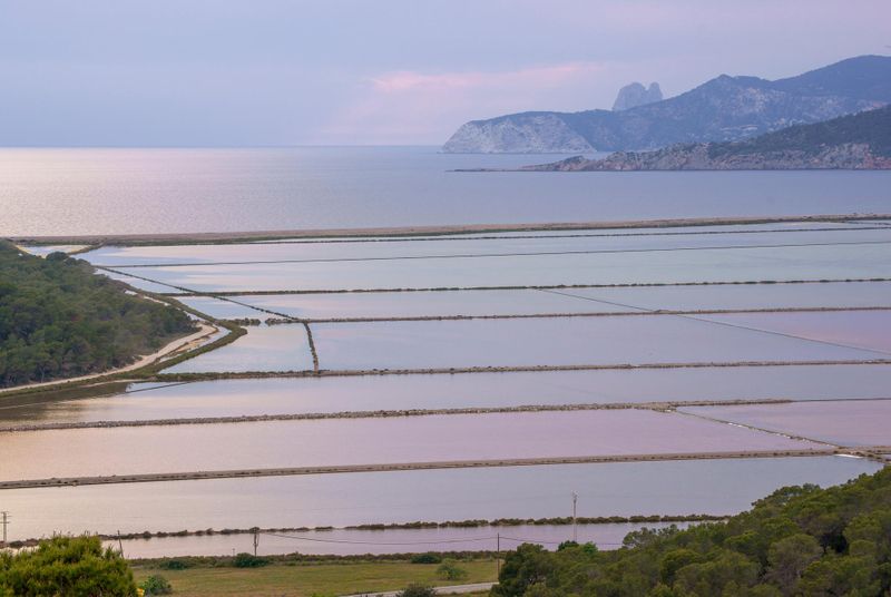 Ses Salines
