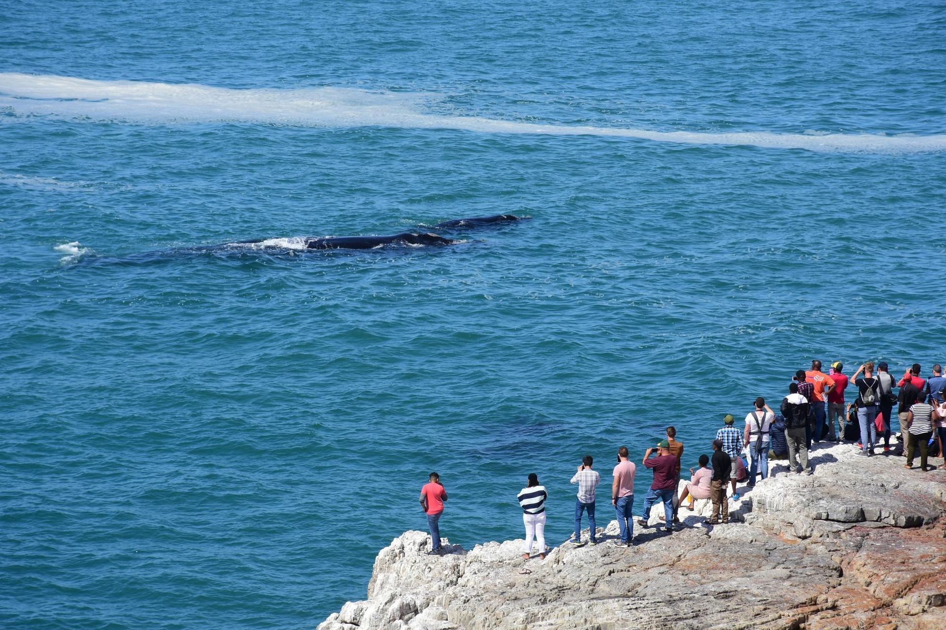 Afrique du Sud - Attraction la plus populaire