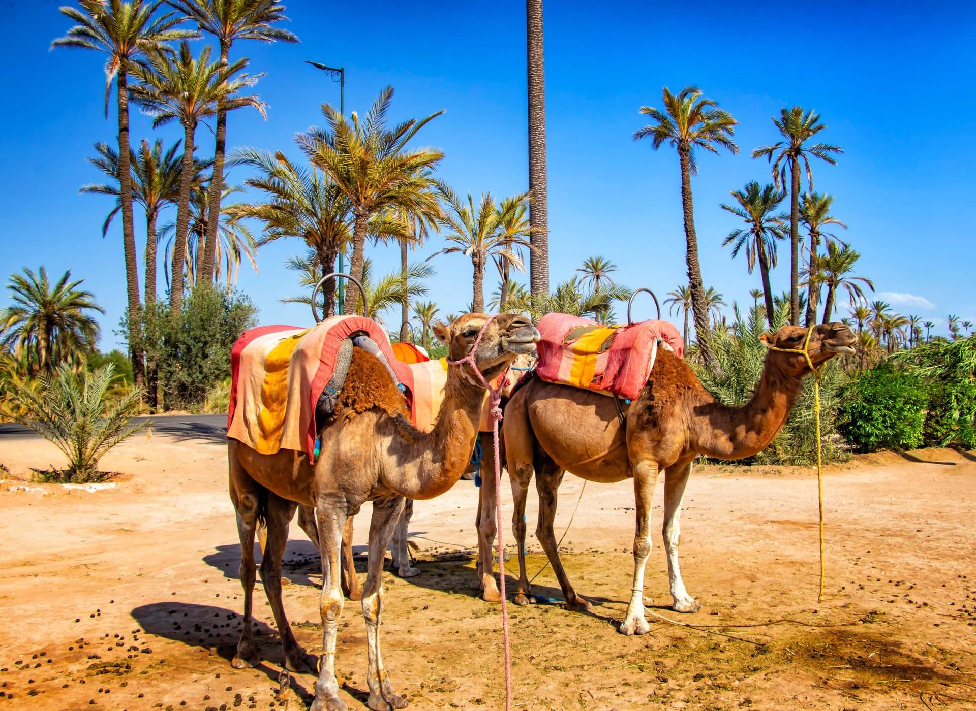 Marrakech - Attraction la plus populaire