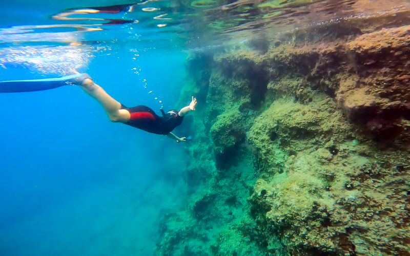 Sorties en bateau avec tuba à Nea Makri, Athènes