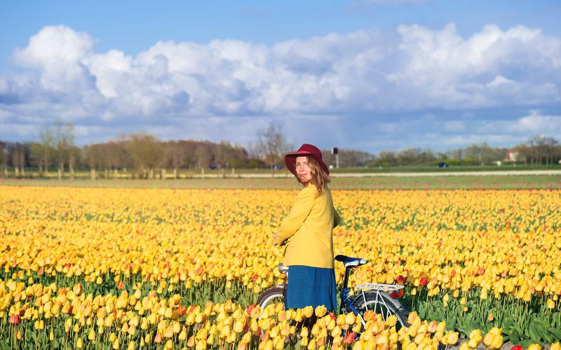 Depuis Amsterdam : navettes aller-retour vers les champs de tulipes de Keukenhof