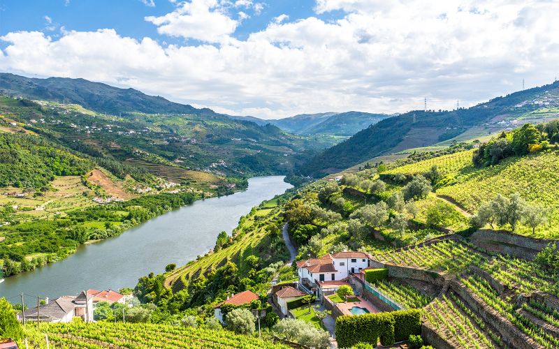 Visite guidée classique de la vallée du Douro avec croisière d'une heure sur le Pinhão, déjeuner traditionnel et dégustations de vins