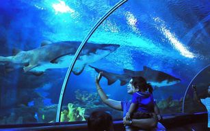 [Promotion exclusive] Billets pour Aquaria KLCC