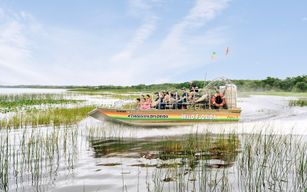 Orlando : Wild Florida Airboat Tour avec Gator Park Billets