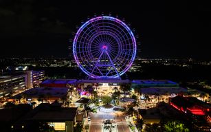 Forfait attractions au ICON Park : Grande Roue, Madame Tussaud's et Aquarium SEA Life